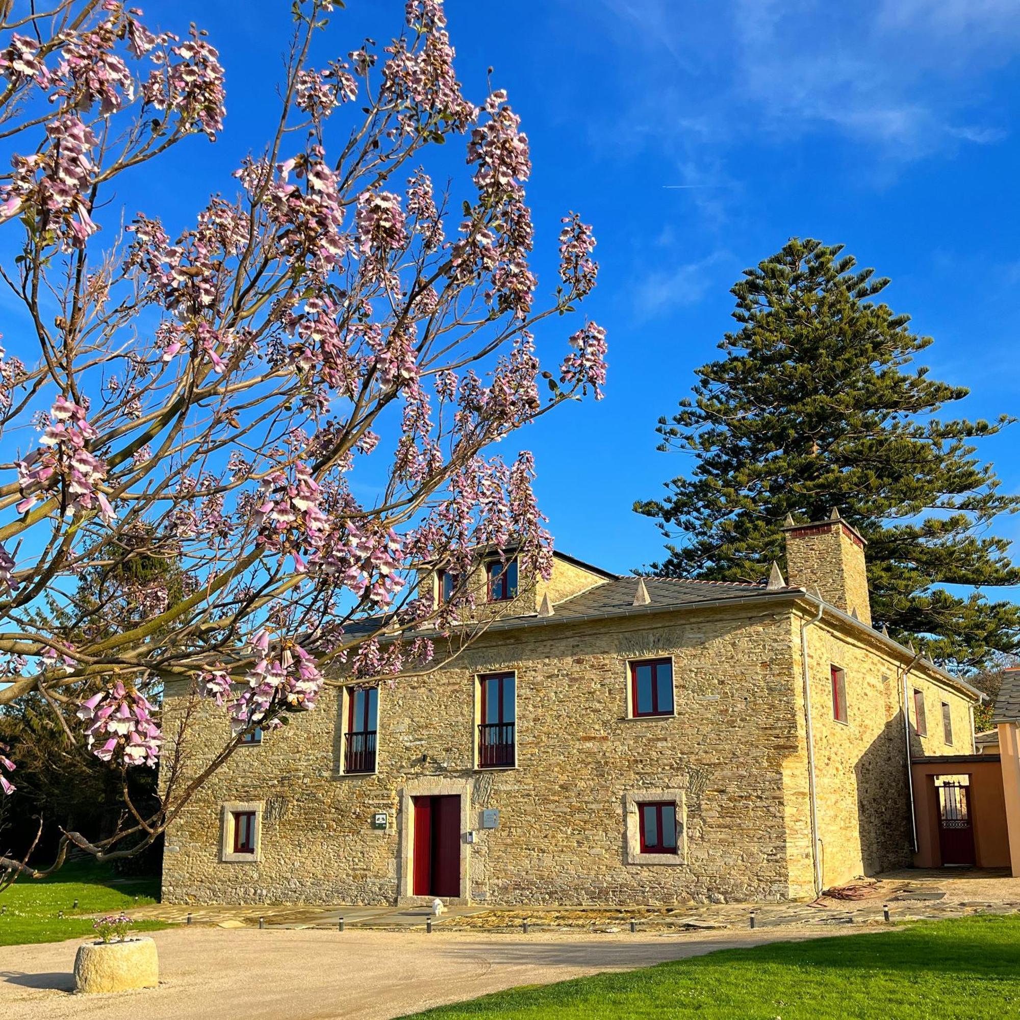 Araucaria House Guest House Barreiros Eksteriør bilde